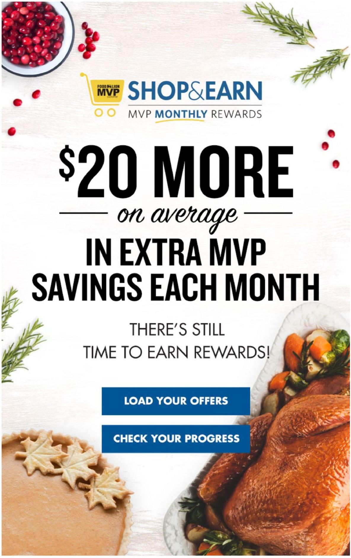 Food Lion Weekly Ad