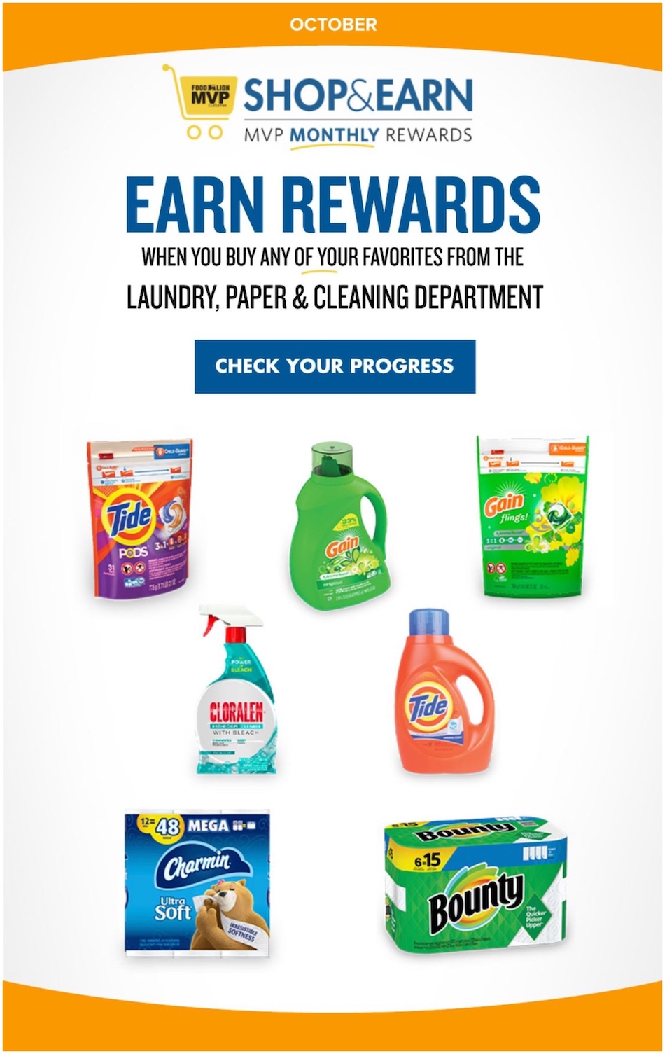 Food Lion Weekly Ad