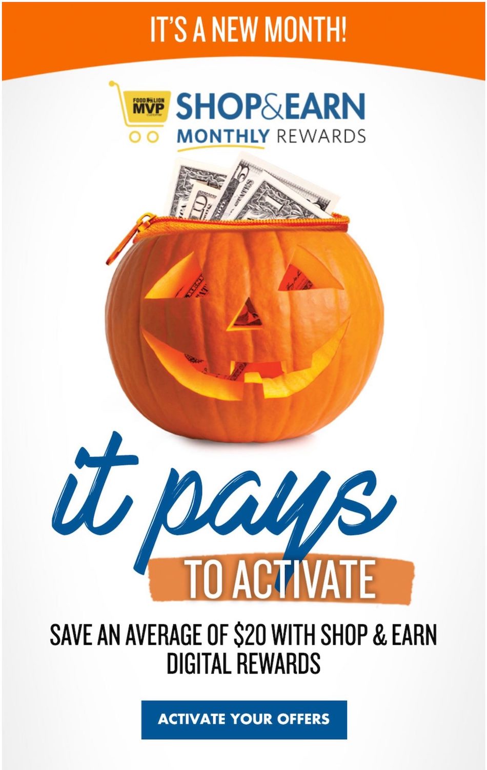 Food Lion Weekly Ad