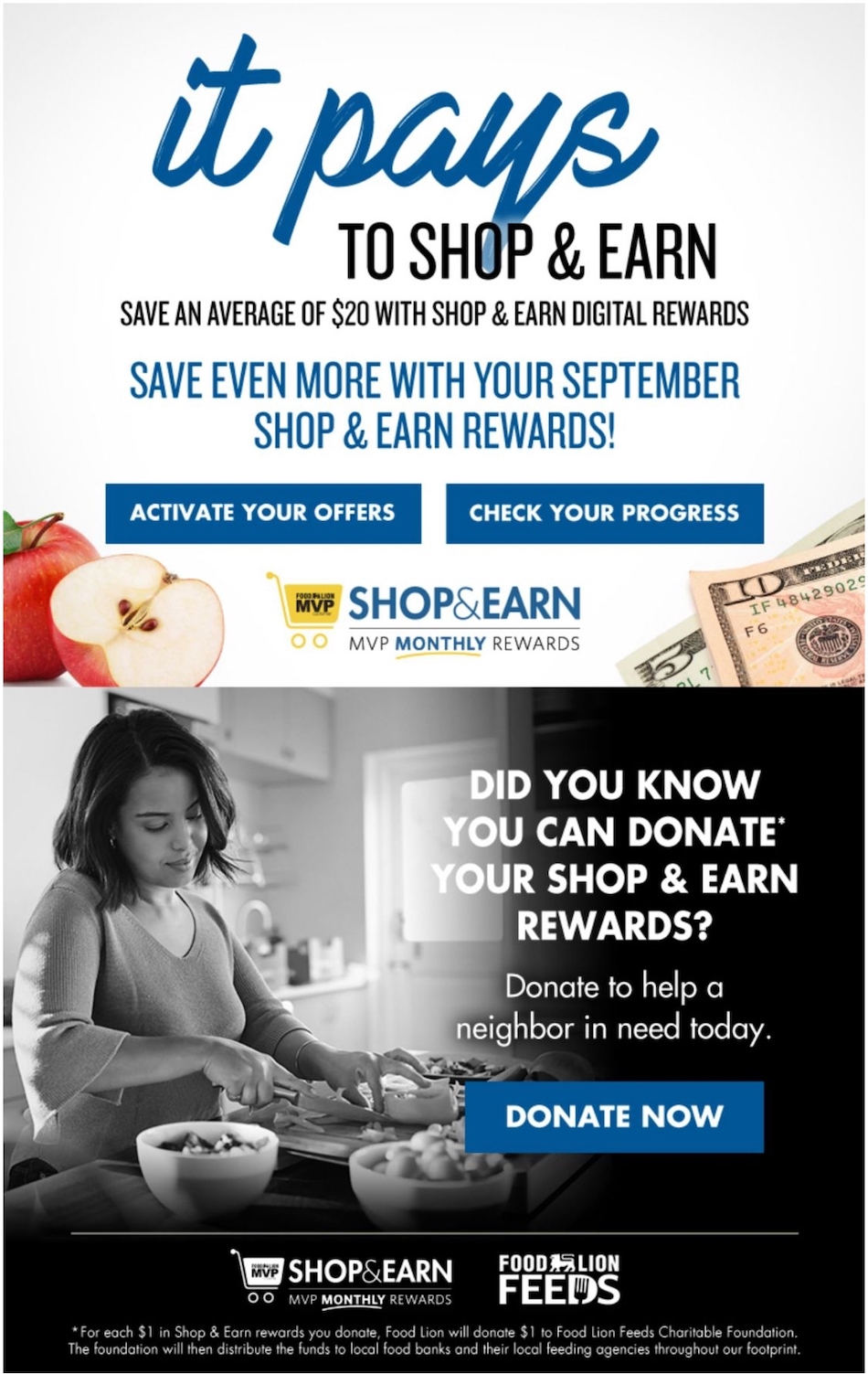 Food Lion Weekly Ad