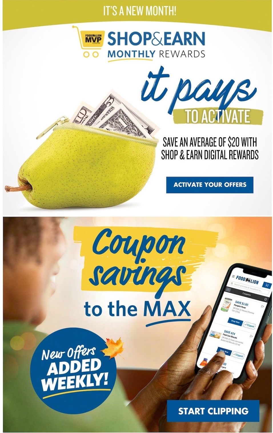 Food Lion Weekly Ad