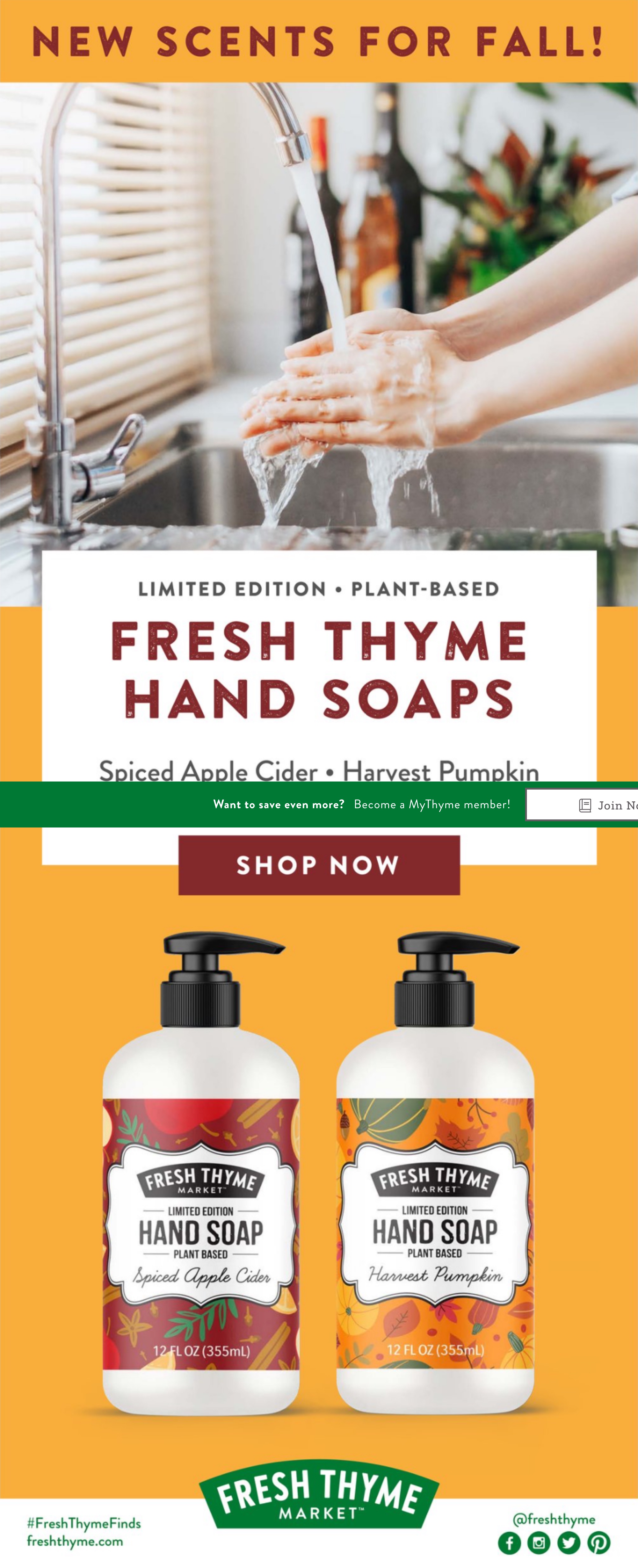 Fresh Thyme Ad page 3