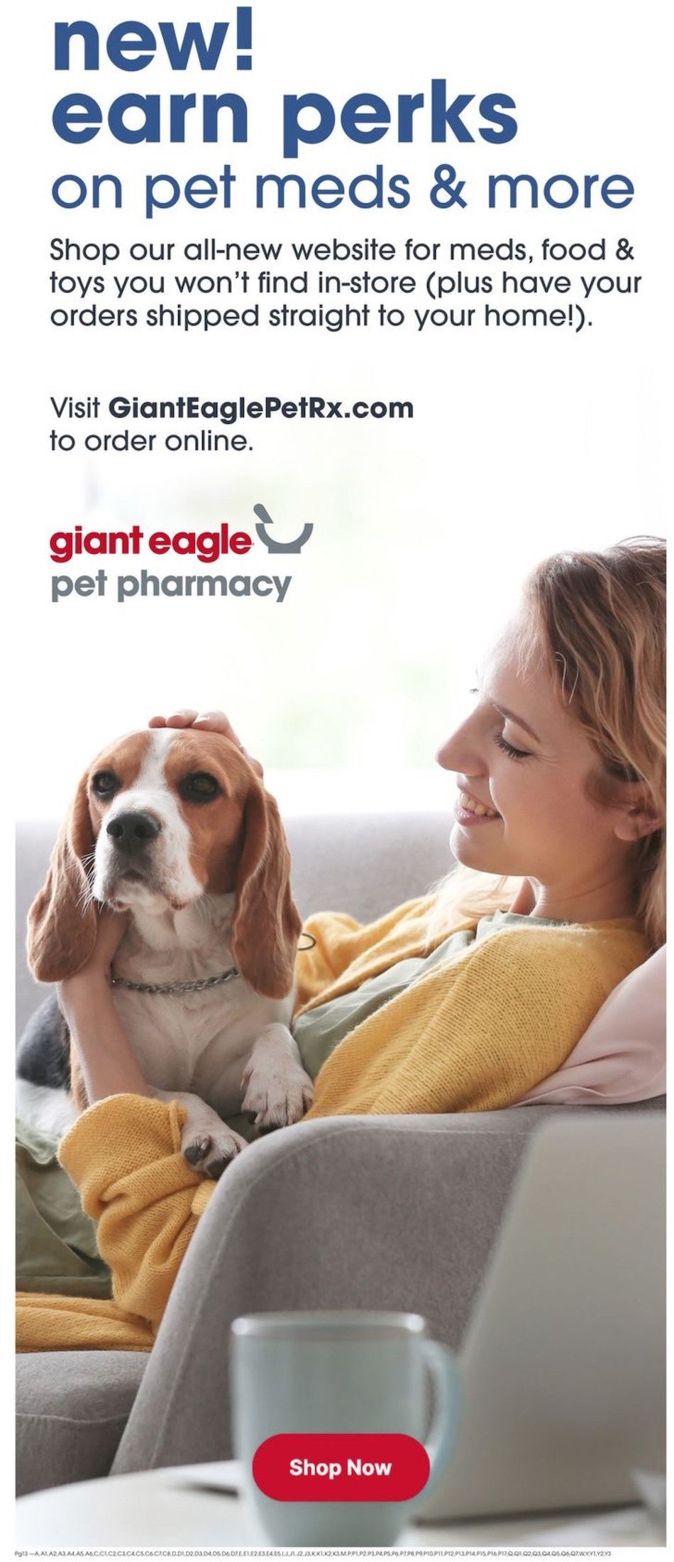 Giant Eagle Ad page 13