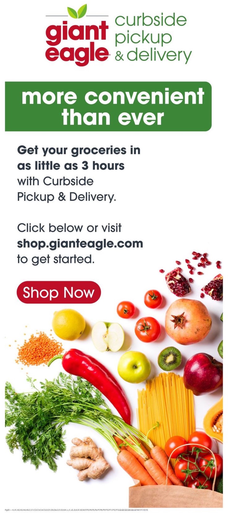 Giant Eagle Ad page 21