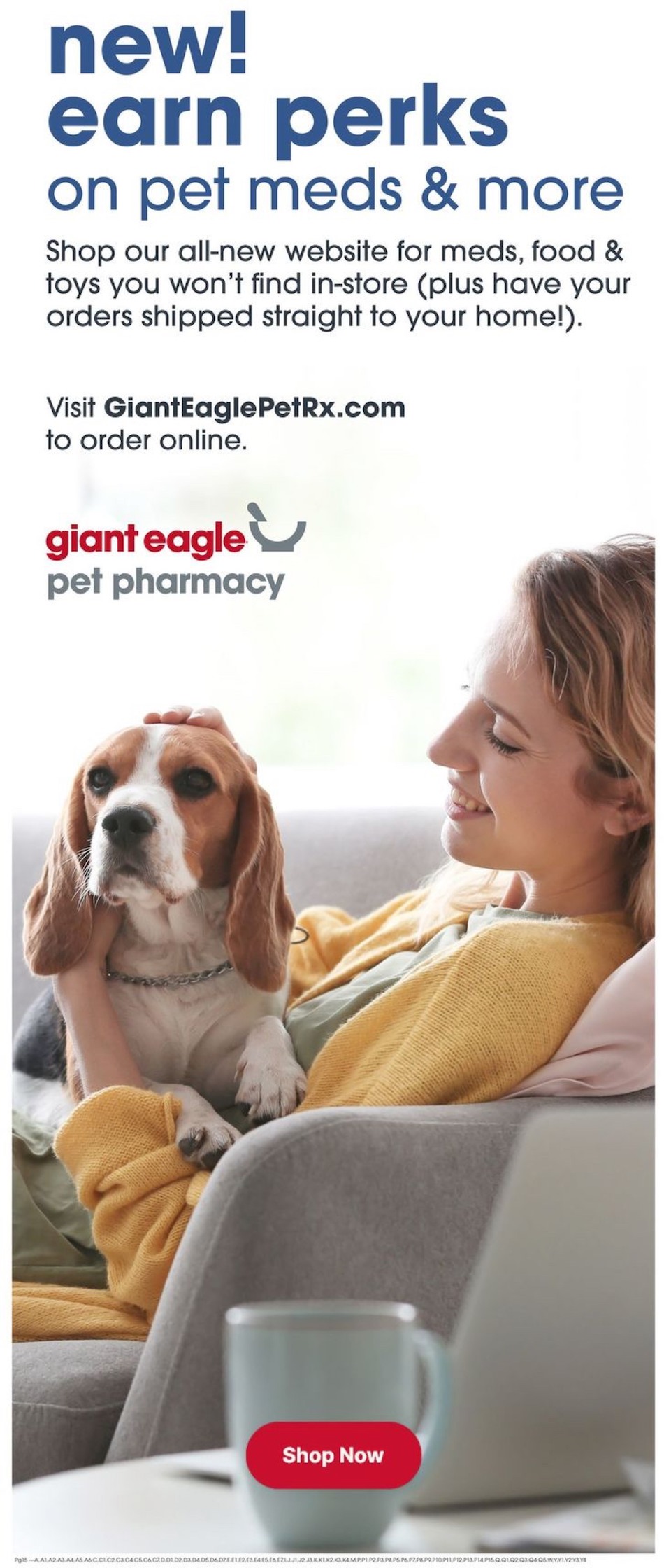 Giant Eagle Ad page 15