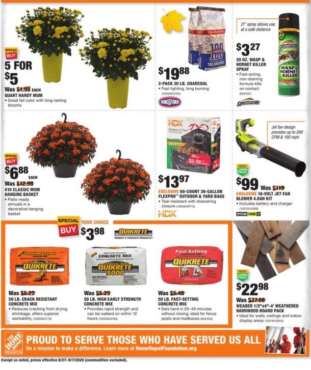 Home Depot Ad