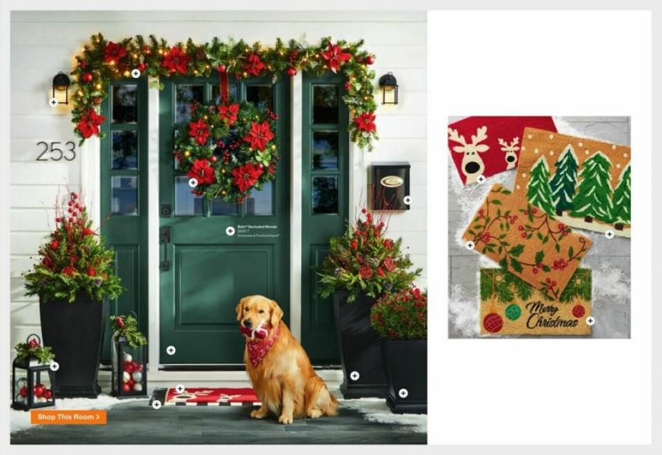 Home Depot Ad page 9