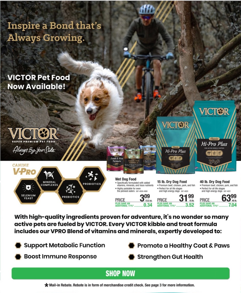 Menards Ad page 4