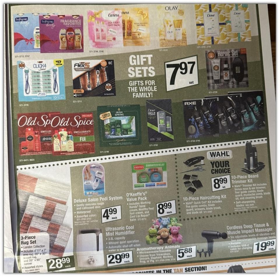 Menards Ad page 25
