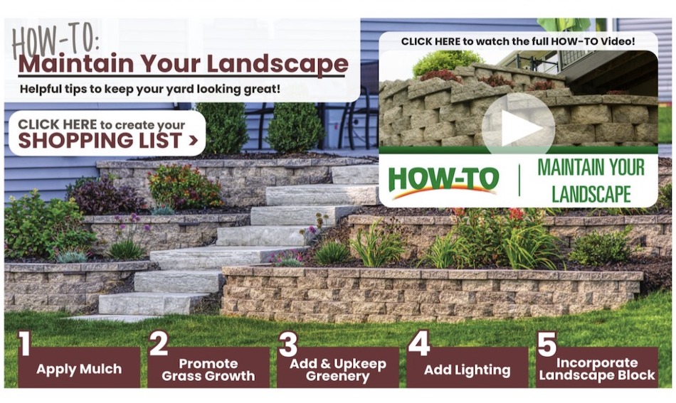 Menards Ad page 15