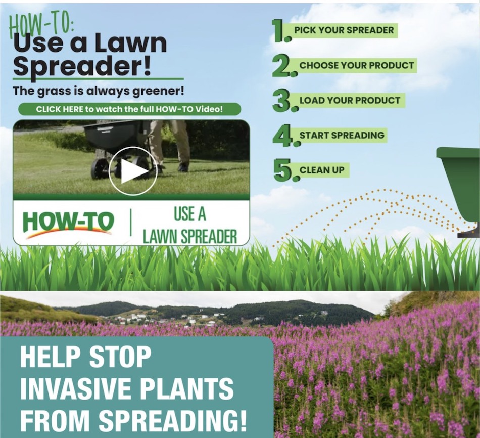 Menards Ad page 3