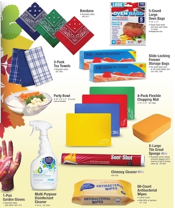 Menards Ad page 12