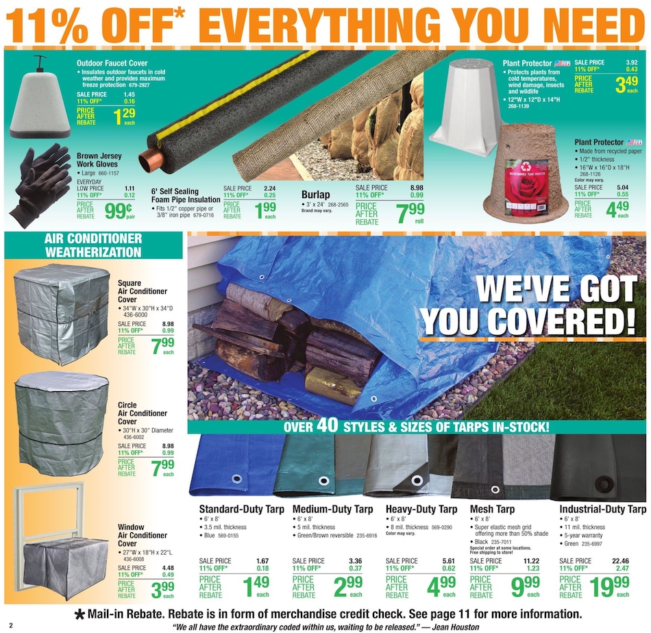 Menards Ad