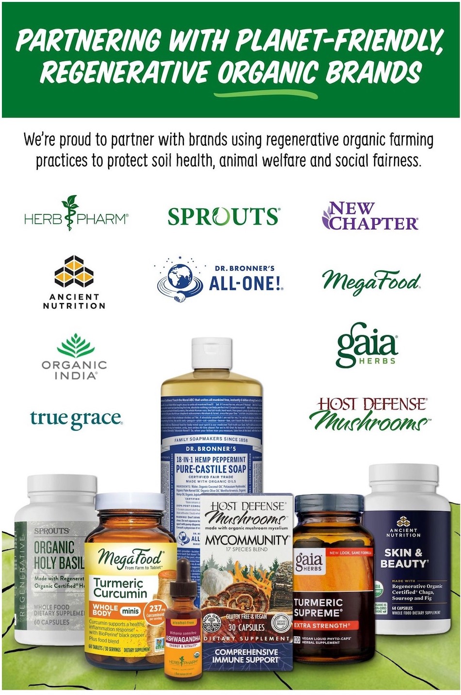Sprouts Ad page 14