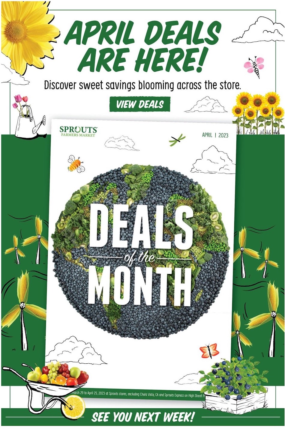 Sprouts Ad page 16