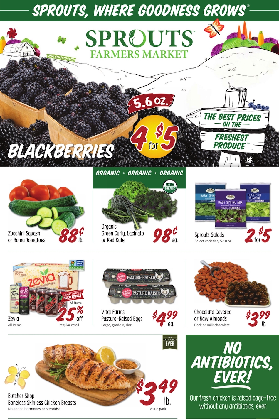 Sprouts Ad